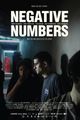 Negative Numbers picture
