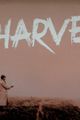 The Harvest picture