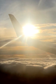 TRTL Travel Pillow picture