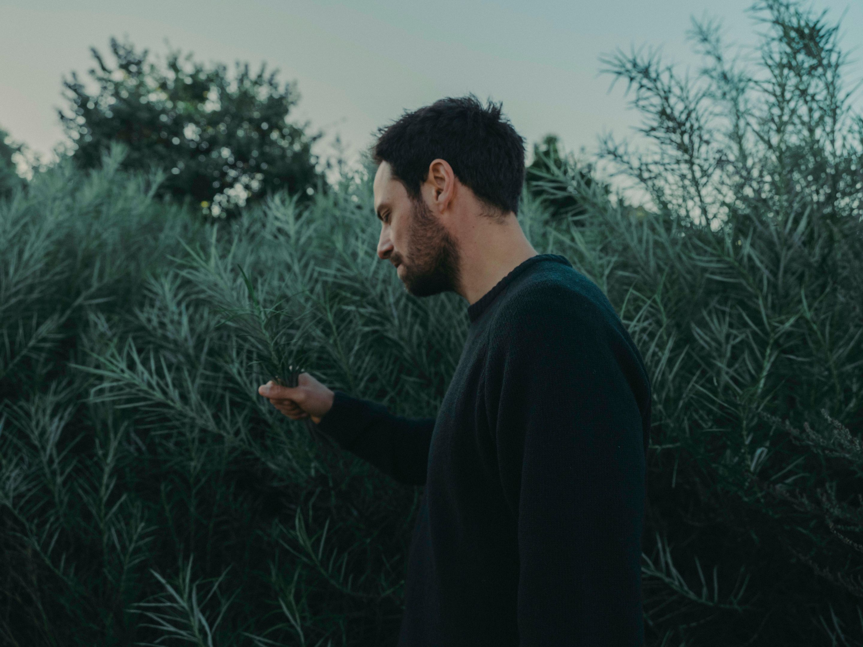 © Sophie Schwarzenberger