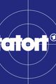 Tatort Frankfurt - Dunkelheit picture