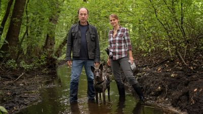 Image for Stiller und der Wolf im Schafspelz