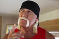 Bild Hulk Hogan