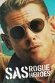 SAS Rogue Heroes picture