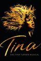 Tina, The Tina Turner Musical picture