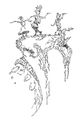 Amphitryon picture