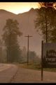 Peakies Show 14 « Live From The Road House » Série Twin Peaks, Mulholland Drive, Elephant Man, The Straight Story picture