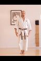 Shotokan Karate - The Meaning of a Kata picture