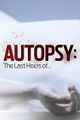 AUTOPSY: THE LAST HOURS OF picture