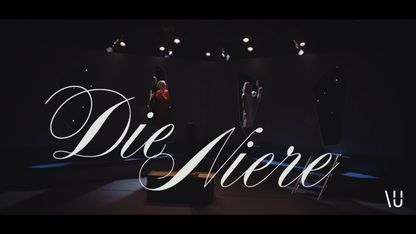 Image for DIE NIERE - Beziehungskomödie von Stefan Vögel (Trailer)