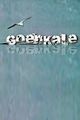 Goenkale picture