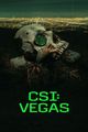 CSI: VEGAS picture