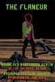 The Flaneur - Der Welt beim Untergehen zusehen picture