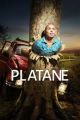 Platane picture