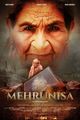 Mehrunisa picture