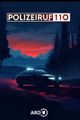 Polizeiruf 110 - Feindbild picture
