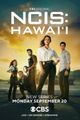 NCIS: Hawai'i picture