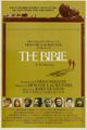 The Bible in the Beginning... picture