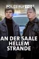 Polizeiruf 110 - An der Saale hellem Strande picture