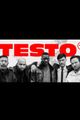 Testo picture
