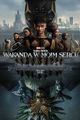 Black Panther: Wakanda Forever picture