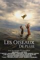 Les oiseaux de pluie picture