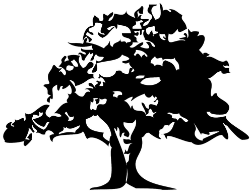 Goldbaum Management picture