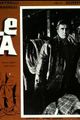 Pelle viva picture