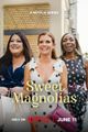 Sweet Magnolias picture