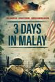 3 Days in Malay picture