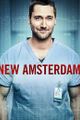 NEW AMSTERDAM picture