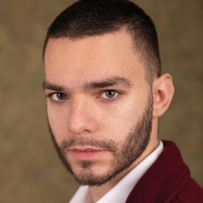 Image for The Romanian actor Mihai Visan