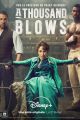 A THOUSAND BLOWS picture
