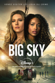 BIG SKY Saison 2 (VF) picture