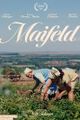 Maifeld picture