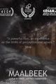 Malbeek picture