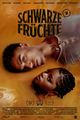 SCHWARZE FRÜCHTE picture