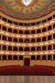 Affari di scimmie picture