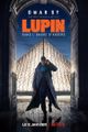 Lupin picture