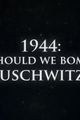 1944: Should We Bomb Auschwitz? picture