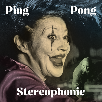 Image for Ping Pong Stereophonie - Bomben auf sanfte Wiesen.