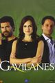 Gavilanes picture