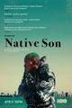 Native Son picture