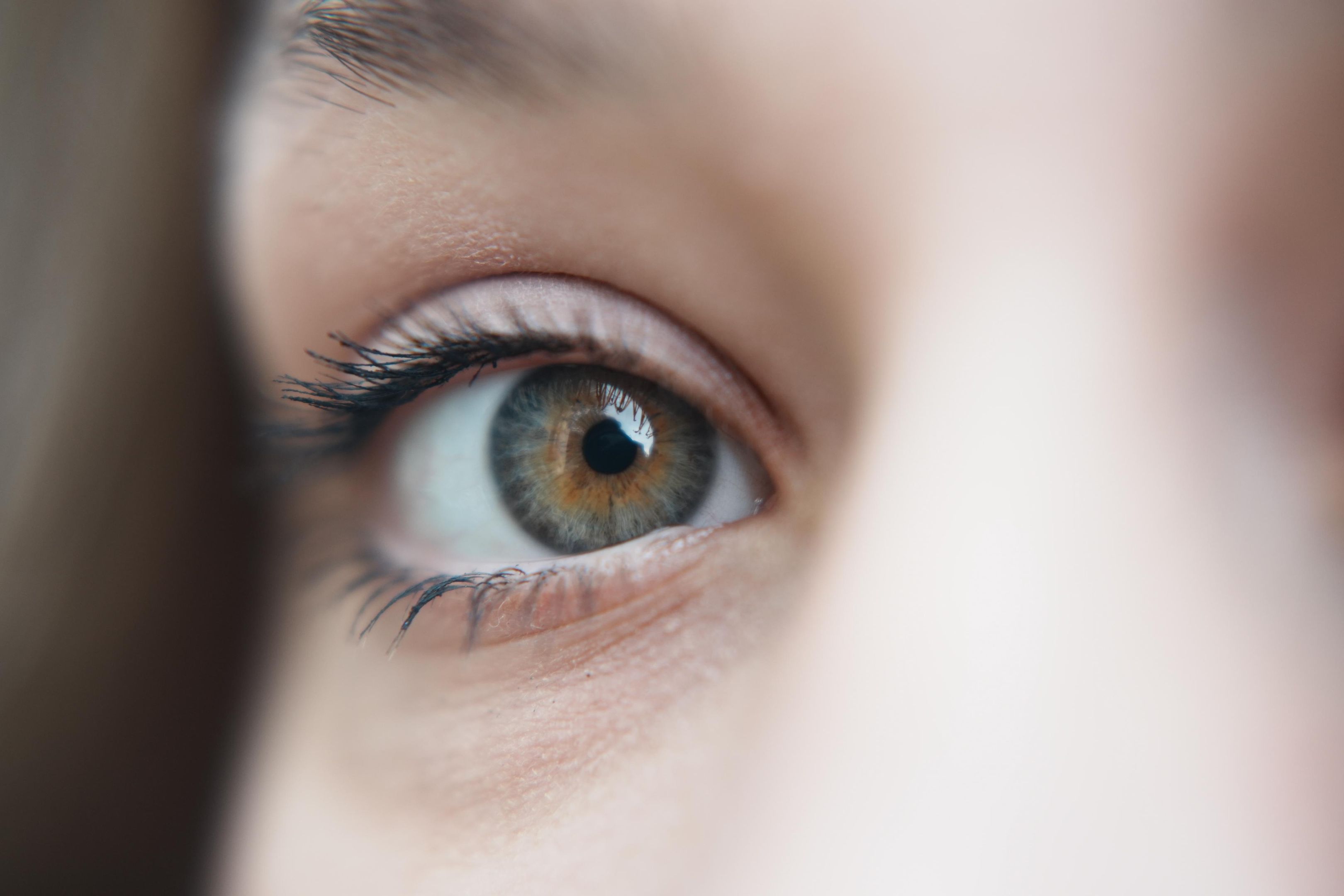 © Ronnie Morten Ohlsen