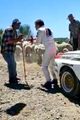 Race for glory - Lancia vs Audi picture