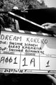 Dream Korero picture