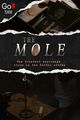 The Mole picture