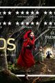 Into The Woods picture