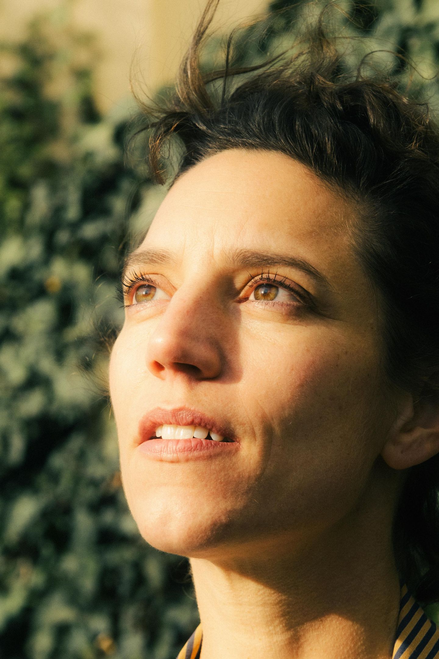 © Paul Vincenth Schütz