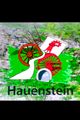Hauenstein picture